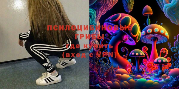 PSILOCYBIN Абаза