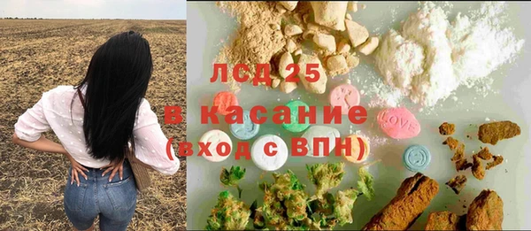 PSILOCYBIN Абдулино