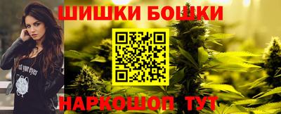 тгк Новодвинск