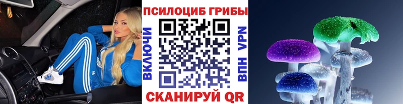 Псилоцибиновые грибы Magic Shrooms  Егорьевск 