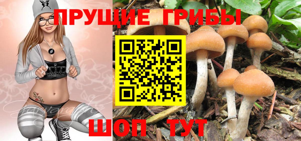 Псилоцибиновые грибы мухоморы Егорьевск