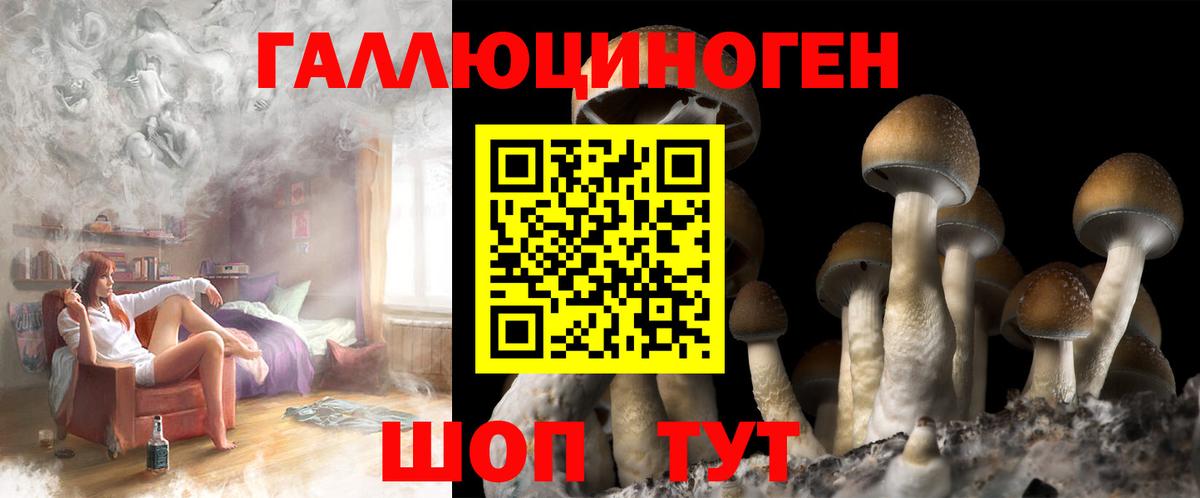 даркнет сайт  Вход с VPN  Псилоцибиновые грибы Cubensis  Егорьевск  Галлюциногенные грибы Psilocybine cubensis 